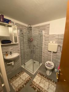 La salle de bains est pourvue d'une douche, de toilettes et d'un lavabo. dans l'établissement Apartman Abramović, à Topusko