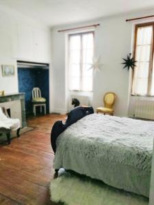 sypialnia z łóżkiem, kominkiem i oknami w obiekcie 2 chambres 88m2 Extra centre historique Cahors vaste appartement convivial et cosy w mieście Cahors