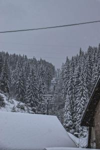 Zlatar duplex að vetri til