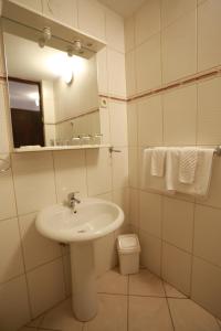 a bathroom with a sink and a mirror and a toilet at Rustika Sobe in Osijek