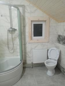 a bathroom with a shower and a toilet and a window at Шпінь 3 in Vorokhta