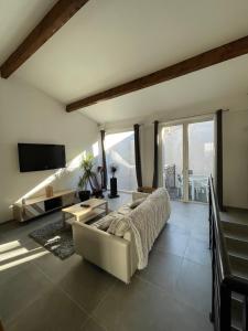 a living room with a couch and a tv at Maison Poissonnerie in Le Grau-du-Roi