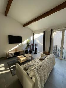 a living room with a couch and a tv at Maison Poissonnerie in Le Grau-du-Roi