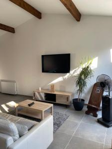 salon z kanapą i telewizorem na ścianie w obiekcie Maison Poissonnerie w mieście Le Grau-du-Roi