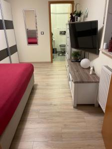 um quarto com uma cama e uma televisão numa cómoda em Zur Sonnenterrasse em Hemer