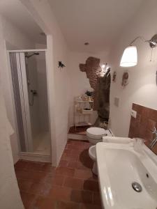 a bathroom with a toilet and a shower and a sink at La Tana del Riccio in Abbadia San Salvatore