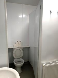 a small bathroom with a toilet and a sink at City Center Hostel in Kilkenny