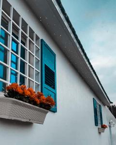 Altaraf Resort في الشفا: نافذة بها مصاريع زرقاء على مبنى أبيض