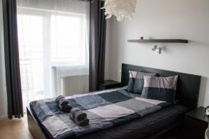1 cama grande en un dormitorio con ventana en FLH - Pink Panther, en Sibiu
