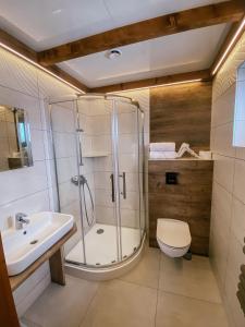 a bathroom with a shower and a toilet and a sink at U Maćka in Białka Tatrzańska