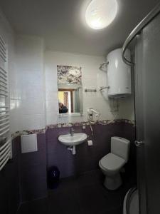 a bathroom with a toilet and a sink at Гостинний двір Стефані in Tatariv +78 photos