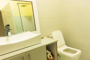 a bathroom with a sink and a toilet and a mirror at The Zambarao Farm House in Naivasha
