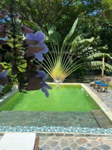 a green pool with a palm tree and a fountain at Ekaa Hotel in Palomino