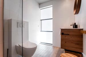 a bathroom with a toilet and a glass shower at Spacious Luxury Loft in Zandvoort +26 photos