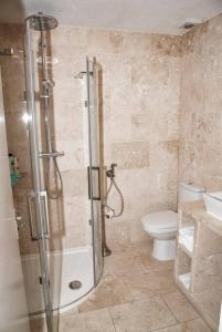 a bathroom with a shower and a toilet at Spacious 1bed flat in Cambridge near Chesterton in Cambridge