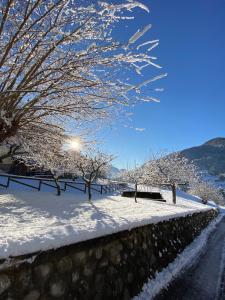 Příroda nedaleko penzionu