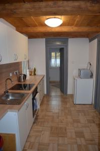 uma cozinha com um lavatório e uma bancada em Apartmány U Soptíka em Rybniště