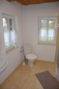 a white bathroom with a toilet and two windows at Apartmány U Soptíka in Rybniště