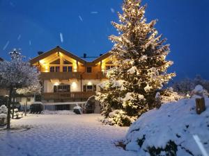 Das Krumerhaus talvel
