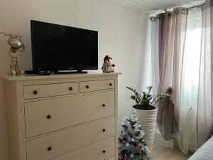 a bedroom with a dresser with a television on it at Ferienwohnung Pension Am Berg in Villingen-Schwenningen