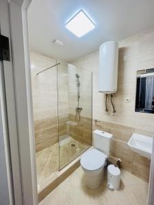 a bathroom with a shower and a toilet and a sink at Готель Лаванда in Khmelʼnytsʼkyy