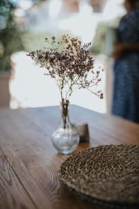 Afbeelding uit fotogalerij van Villa Lantana in Vir +69 foto's