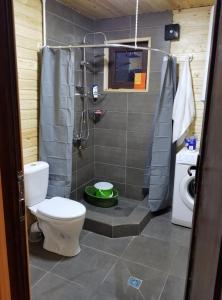 a bathroom with a toilet and a shower at Villa GabLile in Mestia