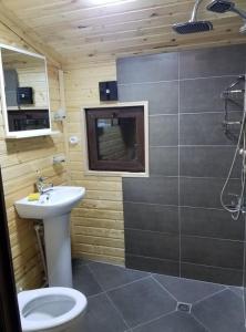 ein Badezimmer mit einem weißen WC und einem Waschbecken in der Unterkunft Villa GabLile in Mestia