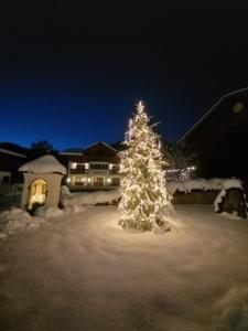 Hotel Garni Ransburgerhof v zimě