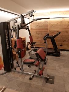 Posilňovňa alebo fitness centrum v ubytovaní Paruda