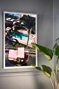 奧胡斯的住宿－SOFS boutique hotel，挂在墙上的棕榈树照片