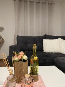 salon z czarną kanapą i butelką w obiekcie Apartman Arya Vlasic w mieście Šišava