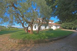 Vonkajšia záhrada v ubytovaní Villa Stauder
