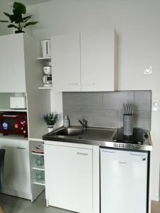 Dapur atau dapur kecil di STUDIO NOYANT VILLAGES