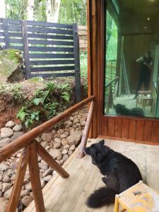 Gallery image of Chalé Espelhado no Itaimbezinho in Praia Grande