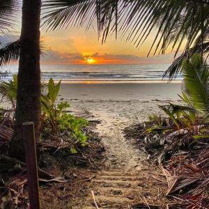 a sunset on a beach with a palm tree at Cosy Studio in Port Douglas