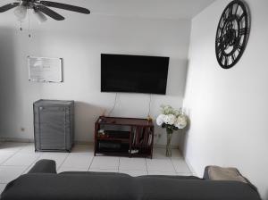 sala de estar con sofá y TV de pantalla plana en Charmant appt proche de toutes commodités, en La Possession