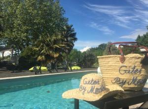 um cesto de palha sentado num banco ao lado de uma piscina em Gîte indépendant entre vignes et océan em Bégadan