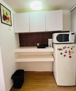 een kleine keuken met een koelkast en een magnetron bij Cómodo y Pintoresco Depa Al sur de La Ciudad! in León