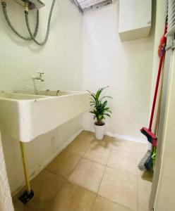 La salle de bains est pourvue d'un lavabo et d'une plante en pot. dans l'établissement Cómodo y Pintoresco Depa Al sur de La Ciudad!, à León