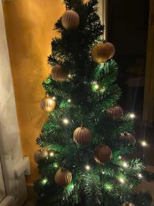 パラッドにあるÓhuta Nyaralóのクリスマスの木