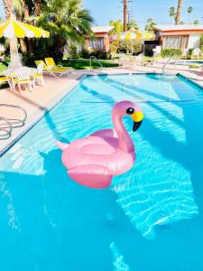 Bazén v ubytování A PLACE IN THE SUN Hotel - ADULTS ONLY Big Units, 24h Heated Pool & Spa in 1 Acre Park Prime Location, DOG Friendly, TOP Midcentury Modern Boutique Hotel nebo v jeho okolí