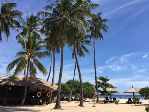 a beach with palm trees and a hut at Nilaveli Beach Resort - Level 1 Certified in Nilaveli