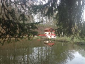 une petite maison au milieu d'un lac dans l'établissement Gite du creux de la goutte, à Xertigny