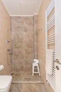 a bathroom with a shower and a toilet and a stool at Seaview Apartment SUNRISE Near To Falassarna Beach in Kolymvari