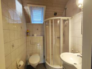 a bathroom with a shower and a toilet and a sink at Ferienhaus Seeblick KIR011 in Kirchheim