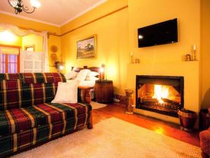 a living room with a couch and a fireplace at Finchley Farm Cottages in Willowmore
