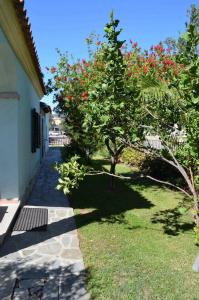 聖特奧多羅的住宿－ISS Travel, La Padula - apartments with private veranda and parking，一座建筑物旁的红花树