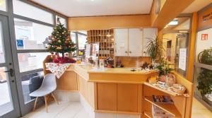 a kitchen with a christmas tree on the counter at Aparthotel Wangener Landhaus in Stuttgart