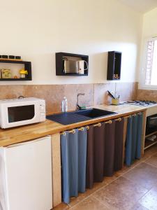 eine Küche mit Spüle und Mikrowelle in der Unterkunft Le mas gnolia in Saint-Jean-du-Gard